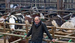 Webinar: Reducing mastitis during the dry period - Ninezergh Farm, Cumbria